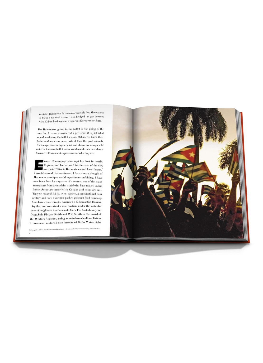 Assouline Havana Blues - detail 5 steenrood