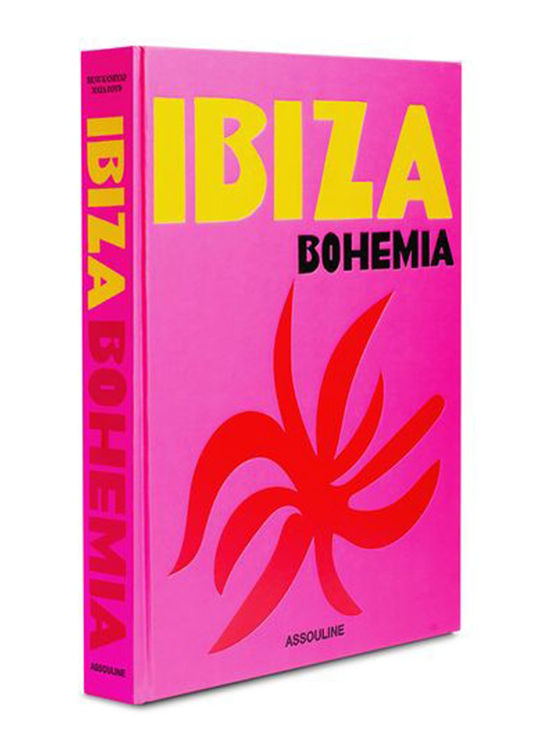 Assouline Ibiza Bohemia - voorkant 2 roze