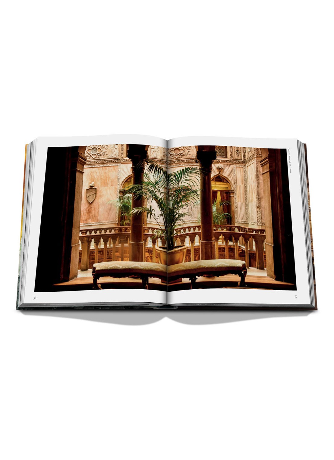Assouline Italian Chic - detail 6 bruin