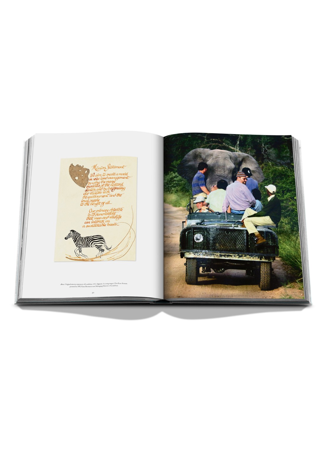 Assouline Londolozi: The Safari That Changed Everything - detail 4 multicolor