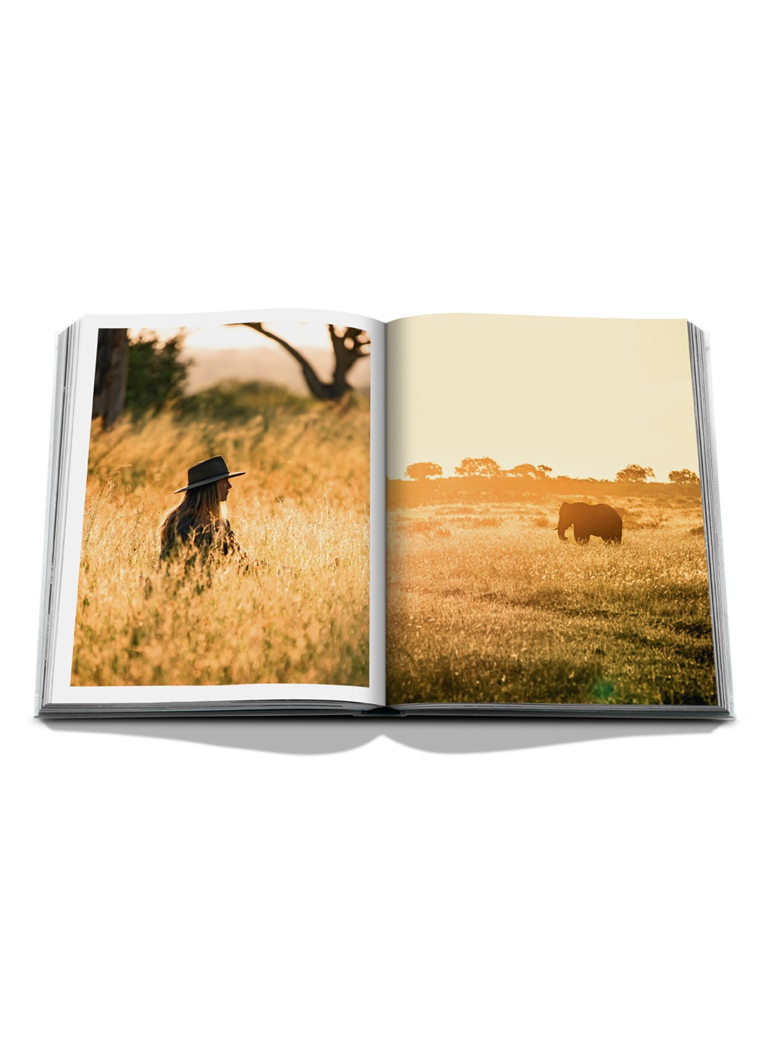 Assouline Londolozi: The Safari That Changed Everything - detail 6 multicolor