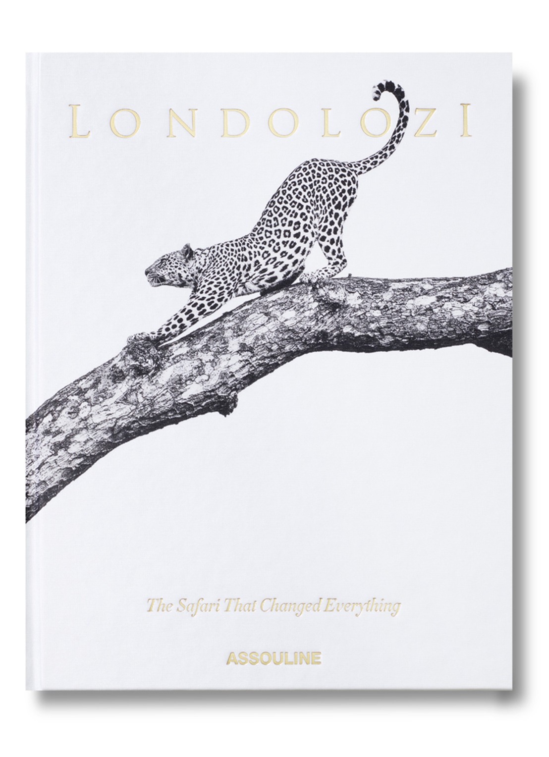 Assouline Londolozi: The Safari That Changed Everything - voorkant multicolor
