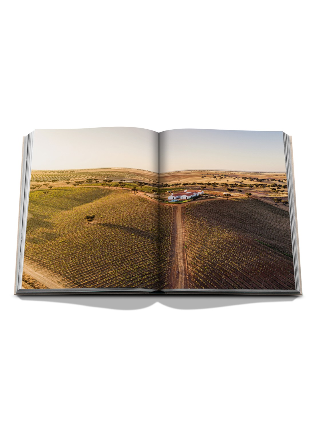 Assouline Malhadinha: The Soul of Alentejo - detail multicolor