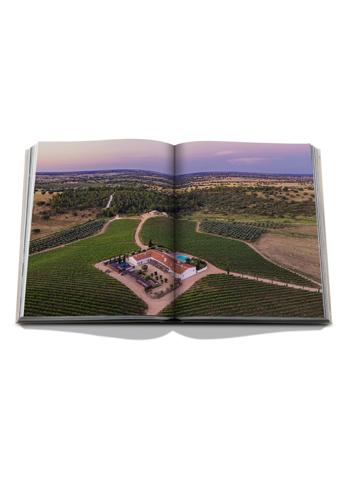 Assouline Malhadinha: The Soul of Alentejo - detail 2 multicolor
