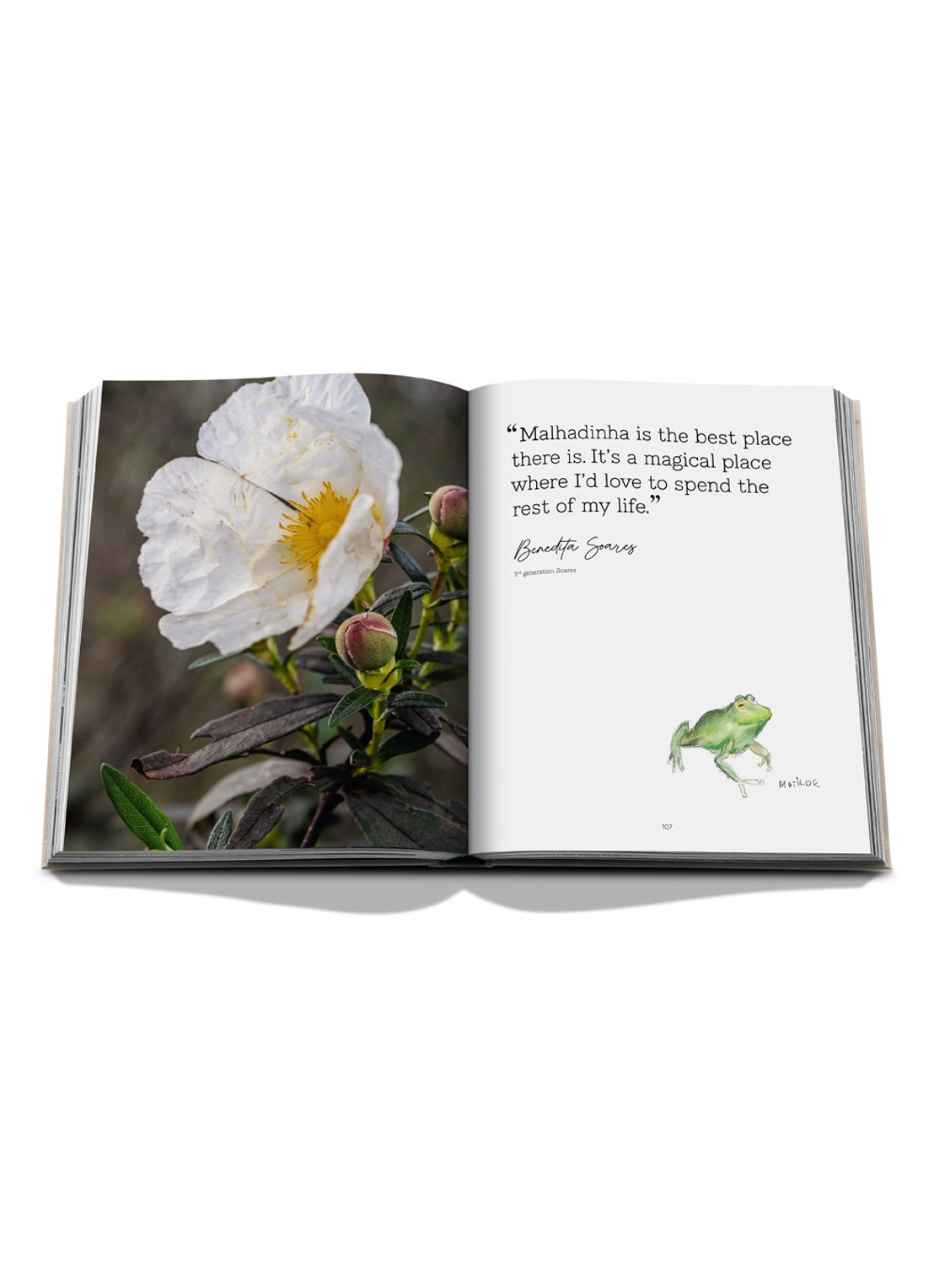 Assouline Malhadinha: The Soul of Alentejo - detail 4 multicolor