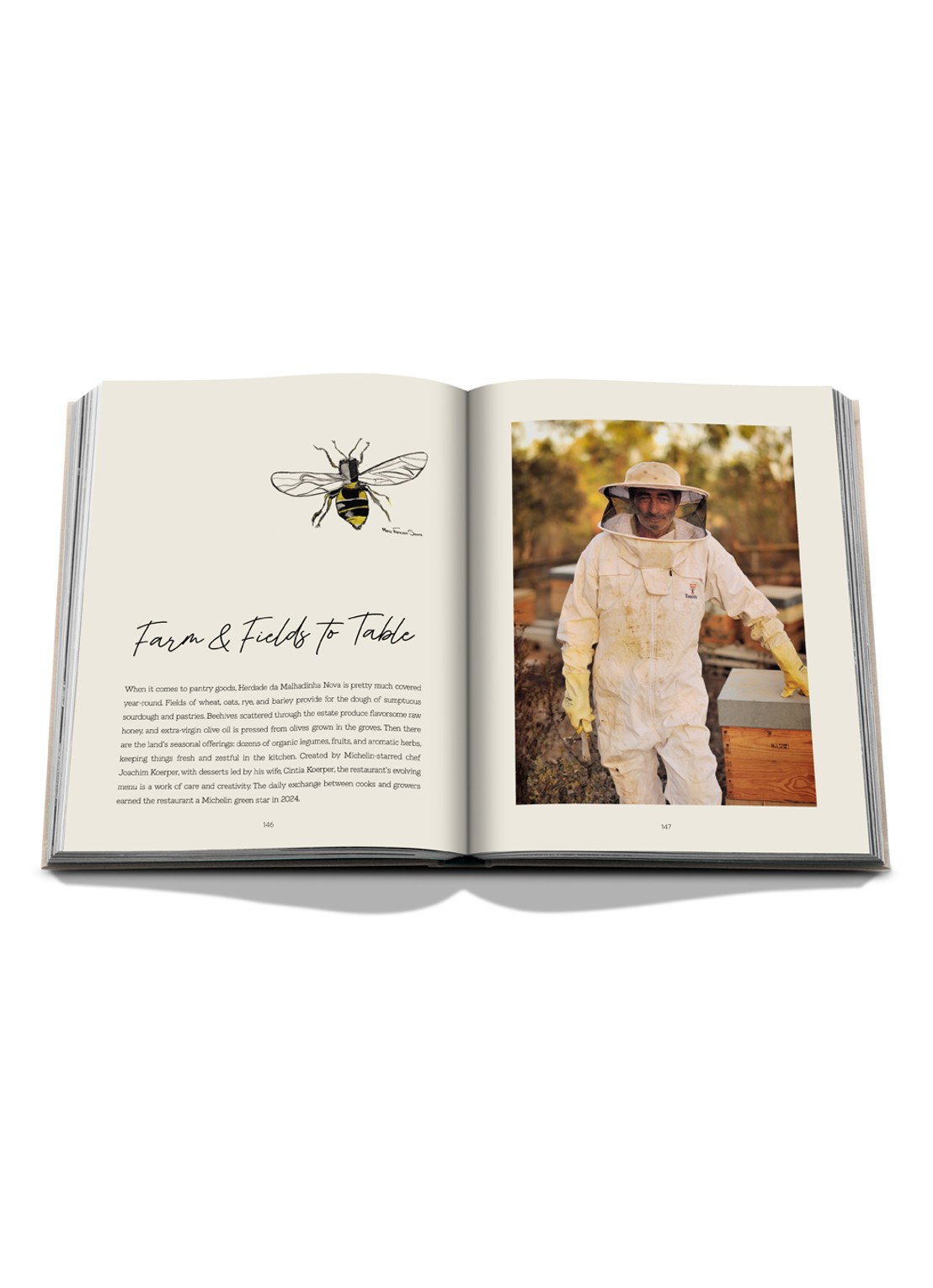Assouline Malhadinha: The Soul of Alentejo - detail 5 multicolor
