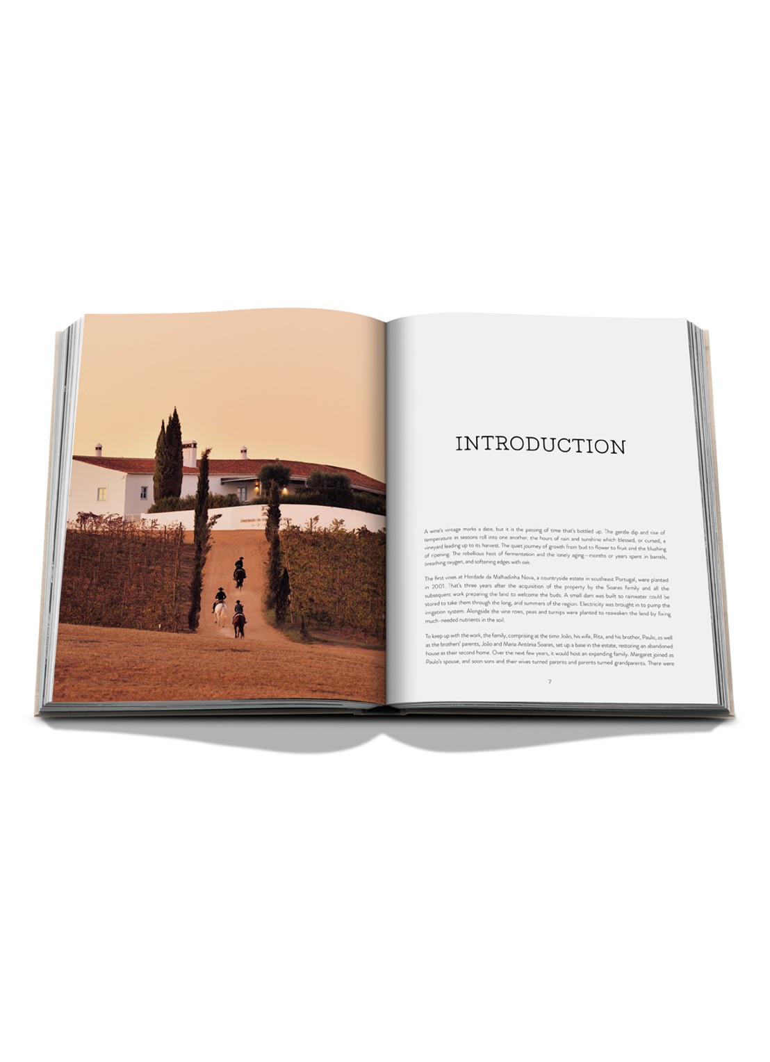 Assouline Malhadinha: The Soul of Alentejo - voorkant 8 multicolor