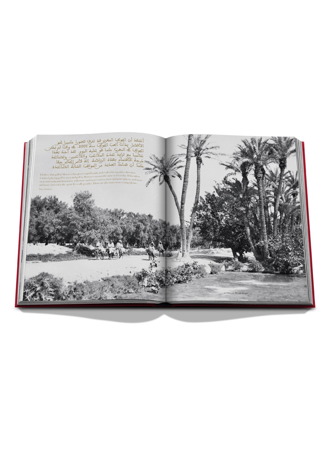 Assouline Morocco: Kingdom of Golf - detail 5 multicolor