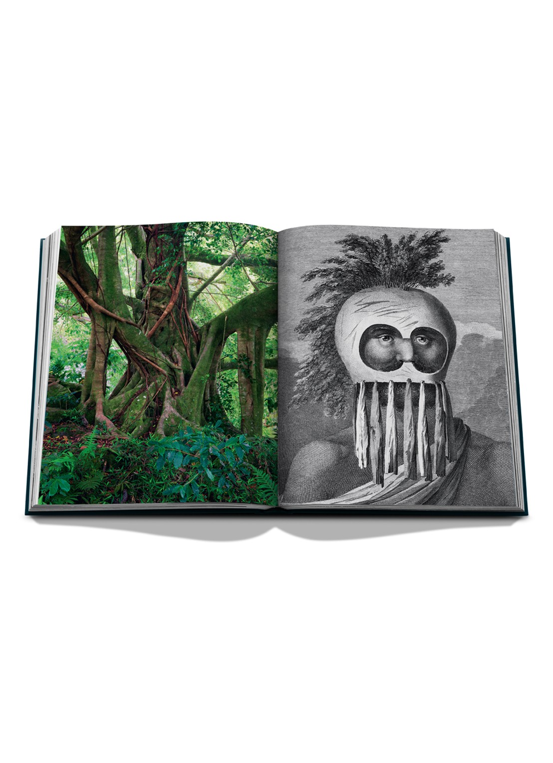 Assouline Pacific Islands: James Cook Voyages - detail 7 multicolor