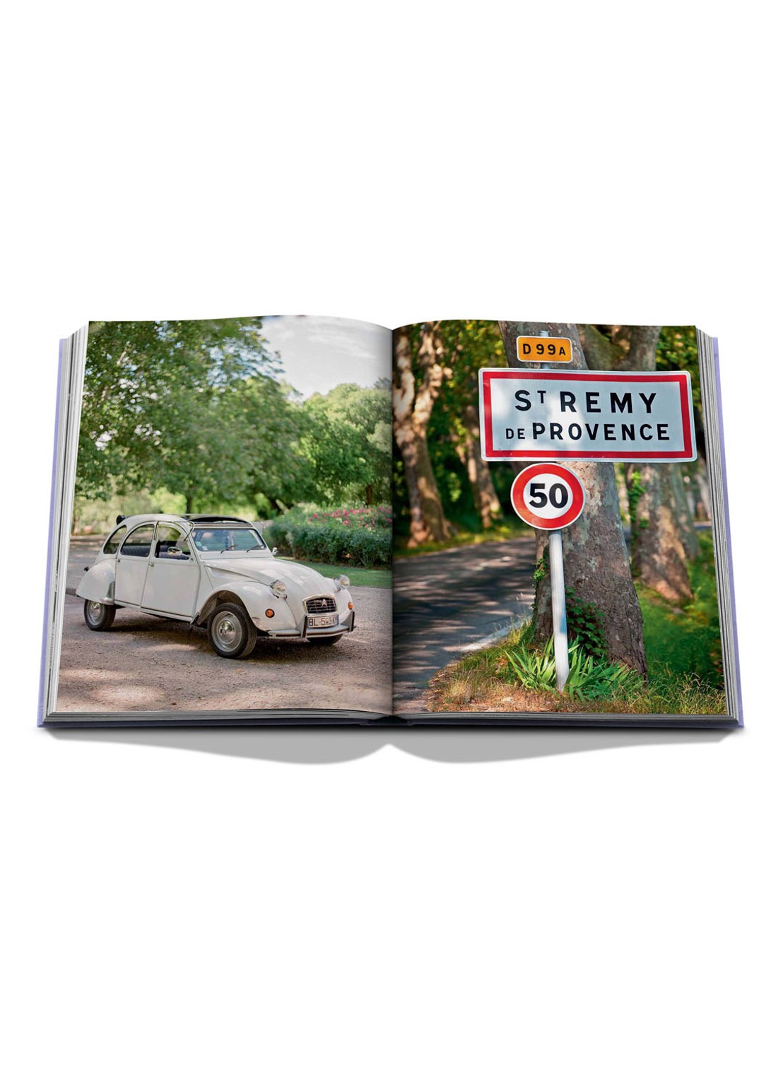Assouline Provence Glory - detail 6 lila