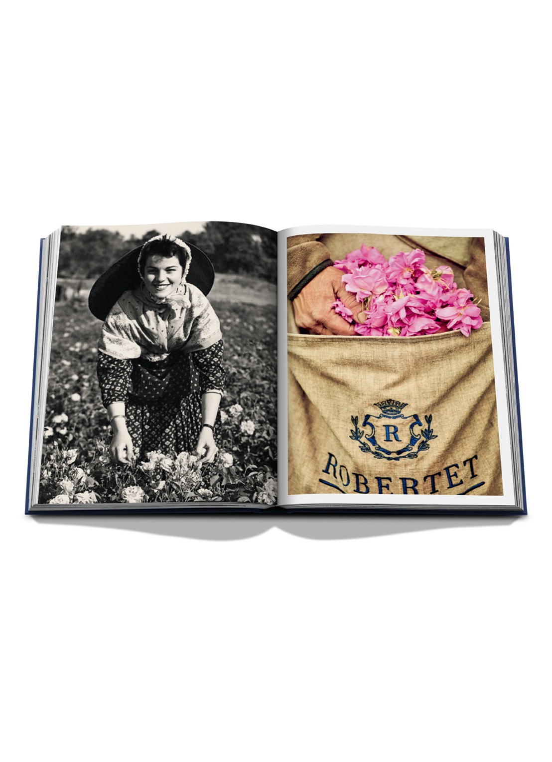 Assouline Robertet: From Seed to Scent - detail 5 multicolor