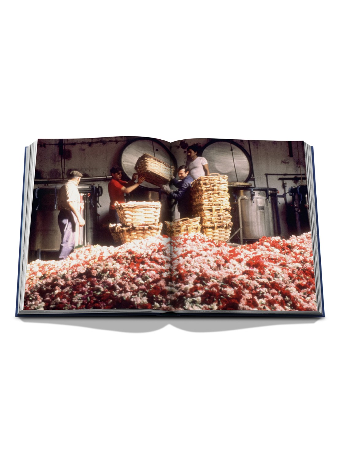 Assouline Robertet: From Seed to Scent - detail 6 multicolor