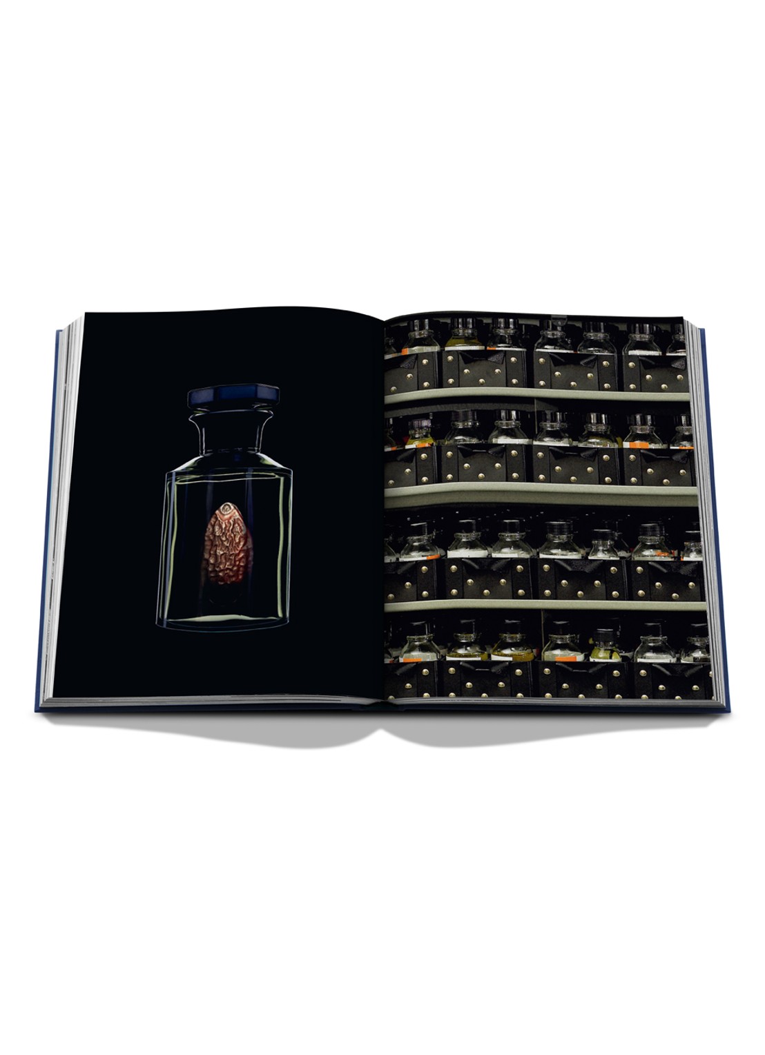Assouline Robertet: From Seed to Scent - detail 7 multicolor
