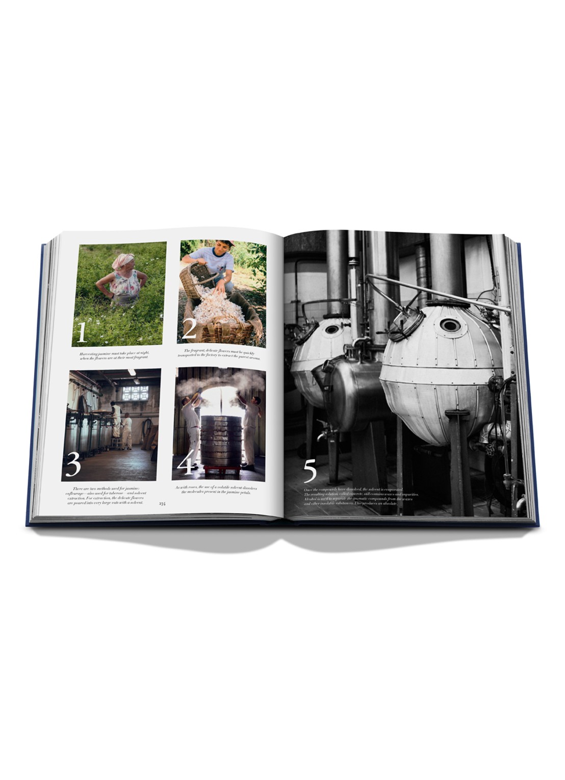 Assouline Robertet: From Seed to Scent - detail 8 multicolor