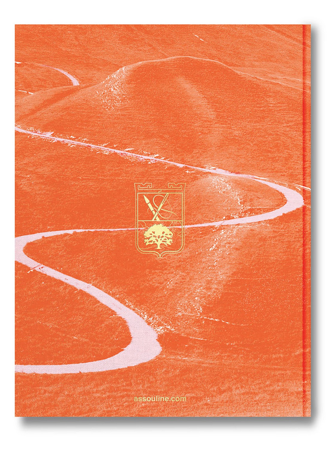 Assouline Santoni Meraviglia - detail 3 oranje