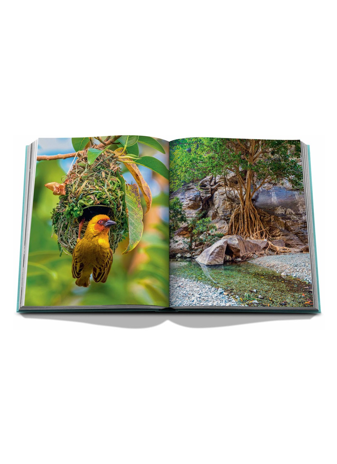 Assouline Saudi Arabia: Red Sea, The Saudi Coast - detail 7 turquoise