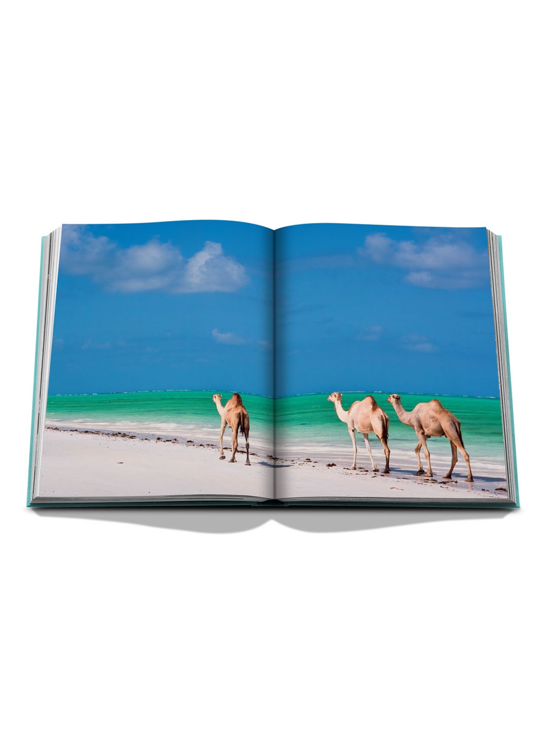 Assouline Saudi Arabia: Red Sea, The Saudi Coast - voorkant 2 turquoise