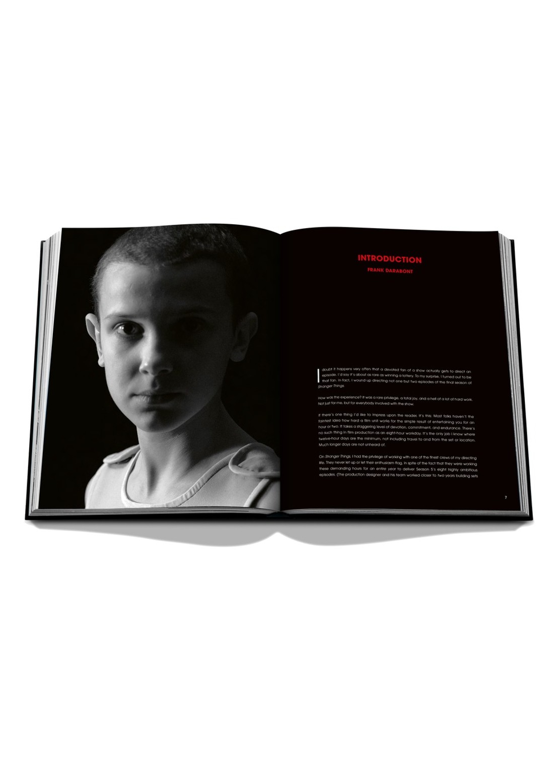 Assouline Stranger Things - detail 4 rood