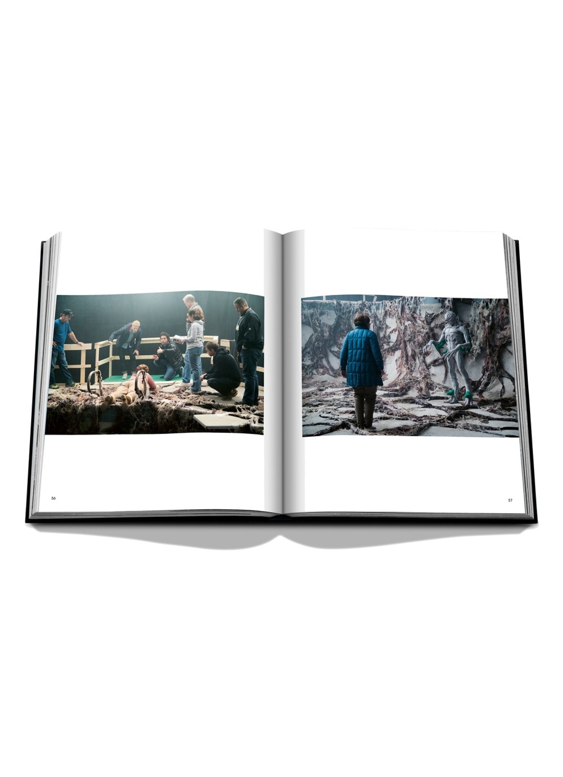 Assouline Stranger Things - detail 6 rood