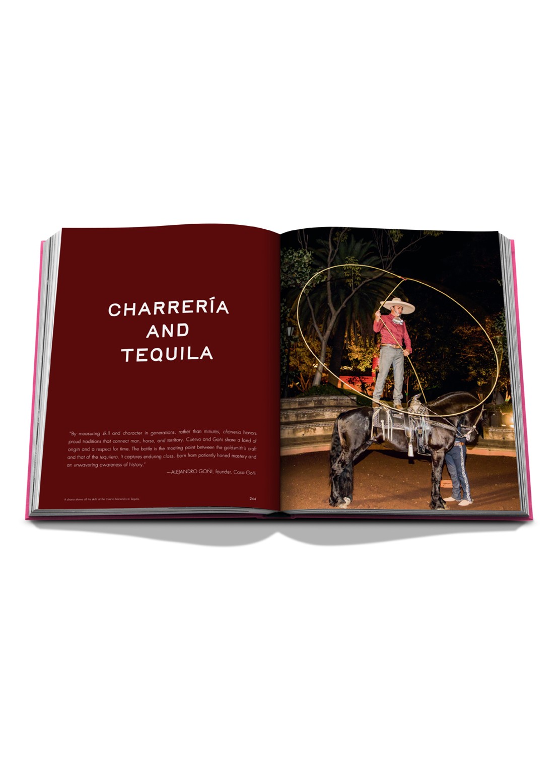 Assouline The Art of Tequila: Spirit of Mexico - detail 7 multicolor