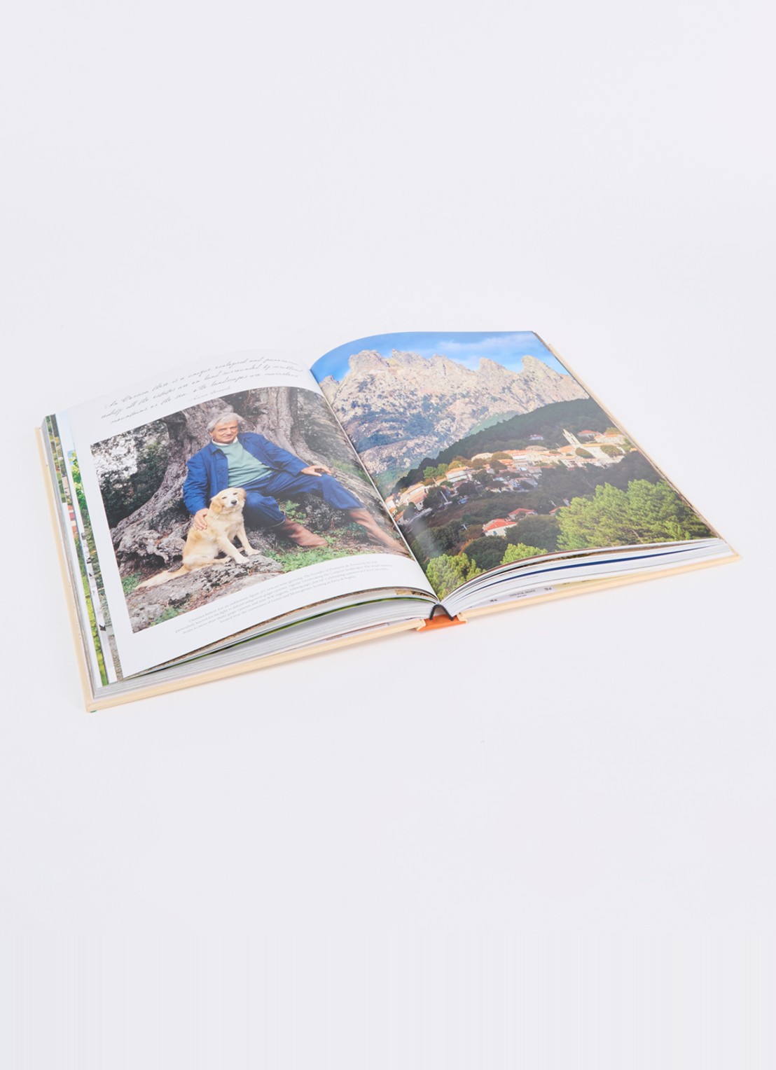 Assouline Wine & Travel France - voorkant 2 oranje