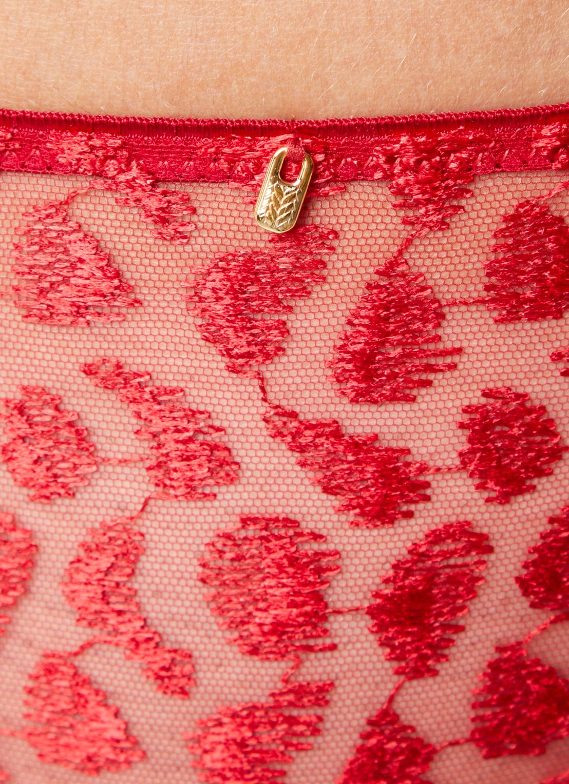 Aubade Crazy In Love hipster van mesh - detail 2 rood