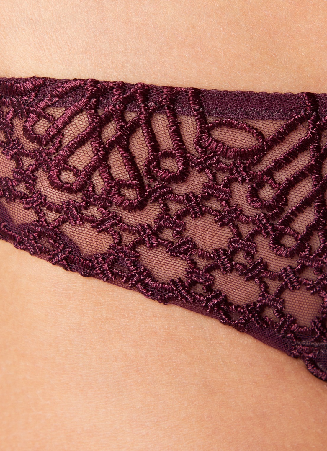 Aubade Eloge Du Desir slip van mesh - detail 2 aubergine