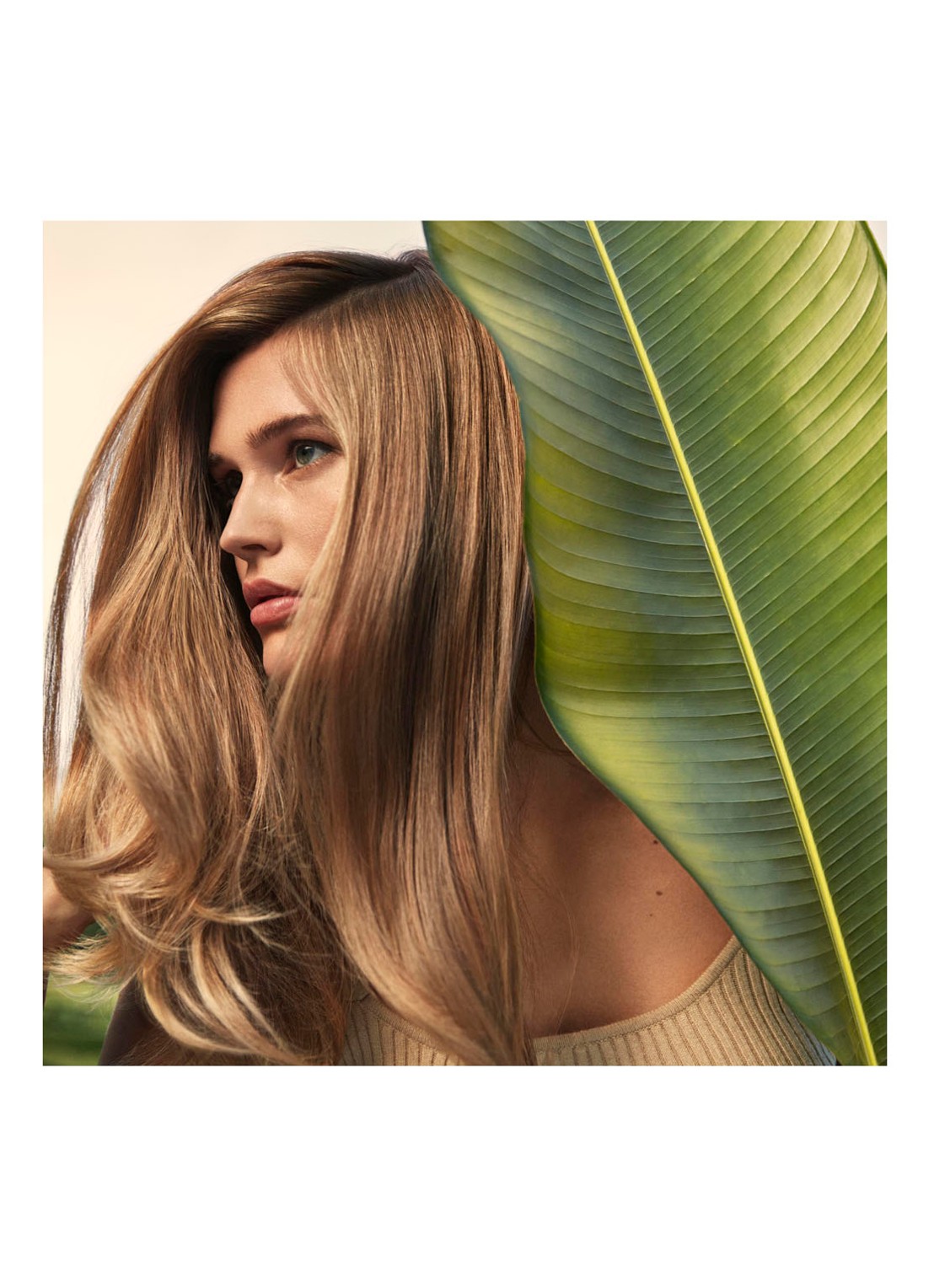 AVEDA Nutriplenish Multi-Use Hair Oil - haarolie - detail 5 undefined