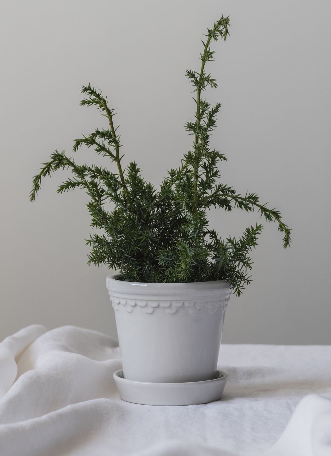 Bergs Potter Københavner bloempot voor binnen Ø16 cm - voorkant 2 wit