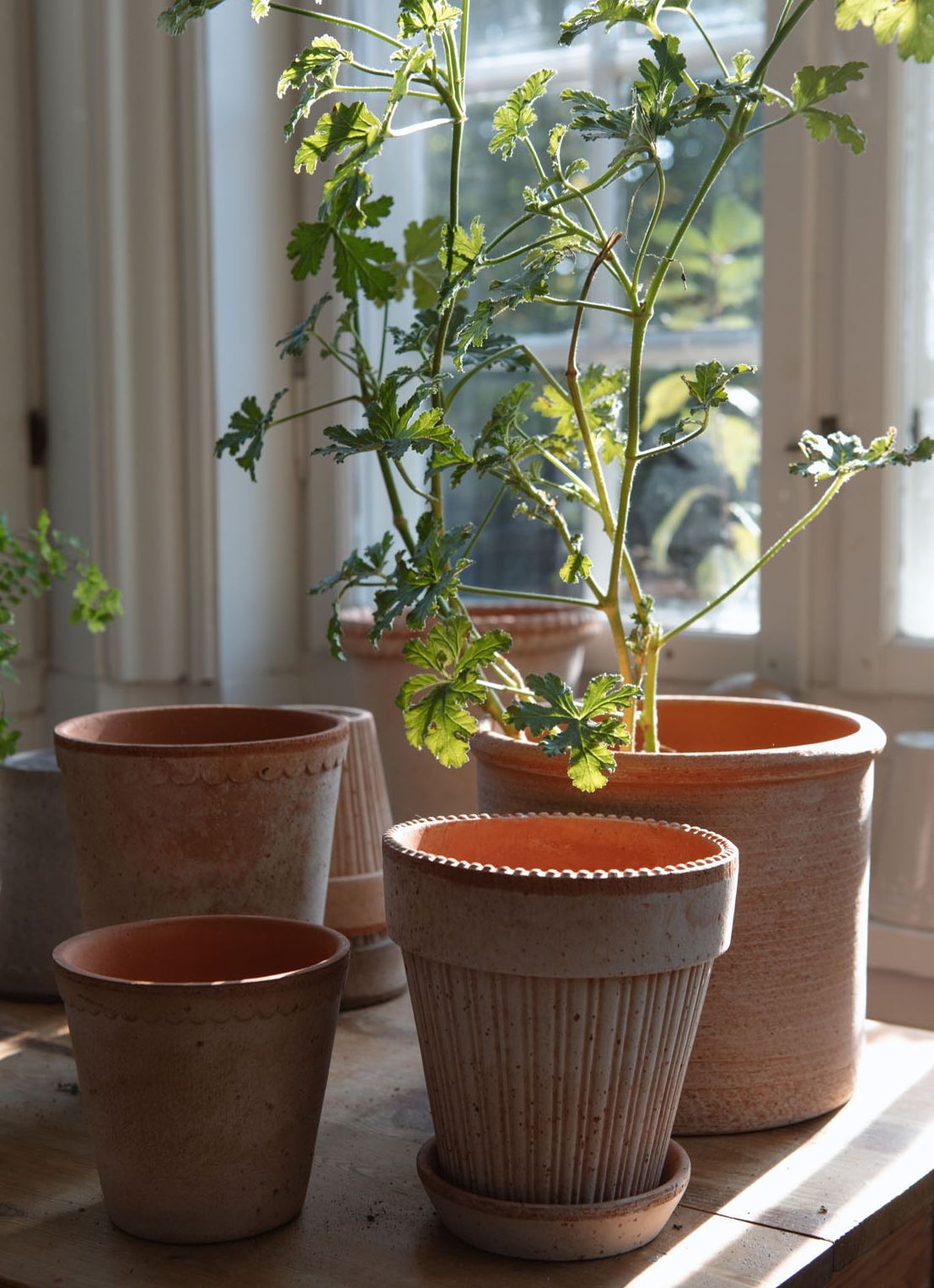 Bergs Potter Simona Raw bloempot voor binnen Ø 14 cm - voorkant 2 roze