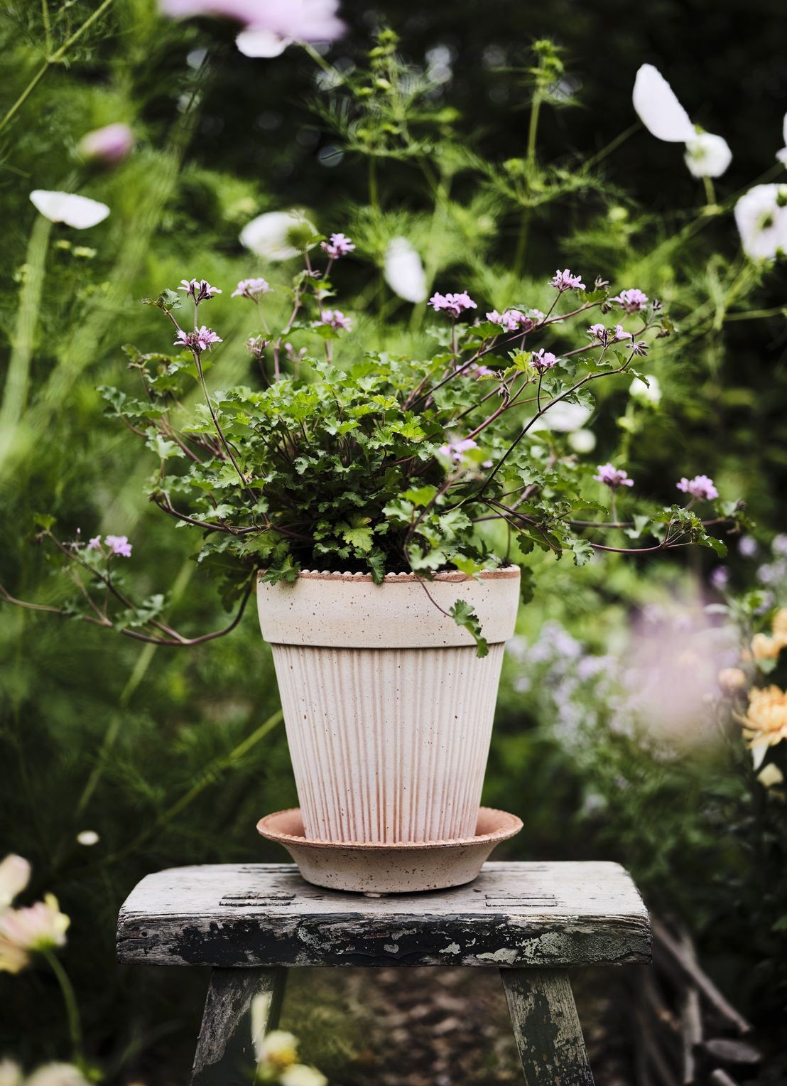 Bergs Potter Simona Raw bloempot voor binnen en buiten Ø 16 cm - voorkant 2 roze