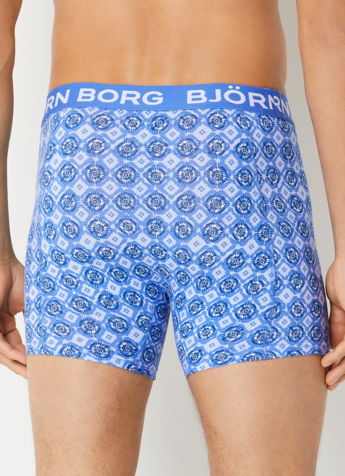 Björn Borg Boxershort van katoen in 5-pack - achterkant 3 blauw