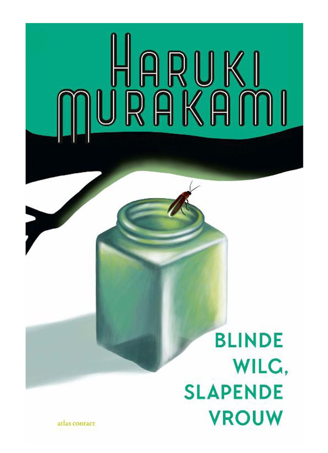 BLINDE WILG, SLAPENDE VROUW - voorkant undefined