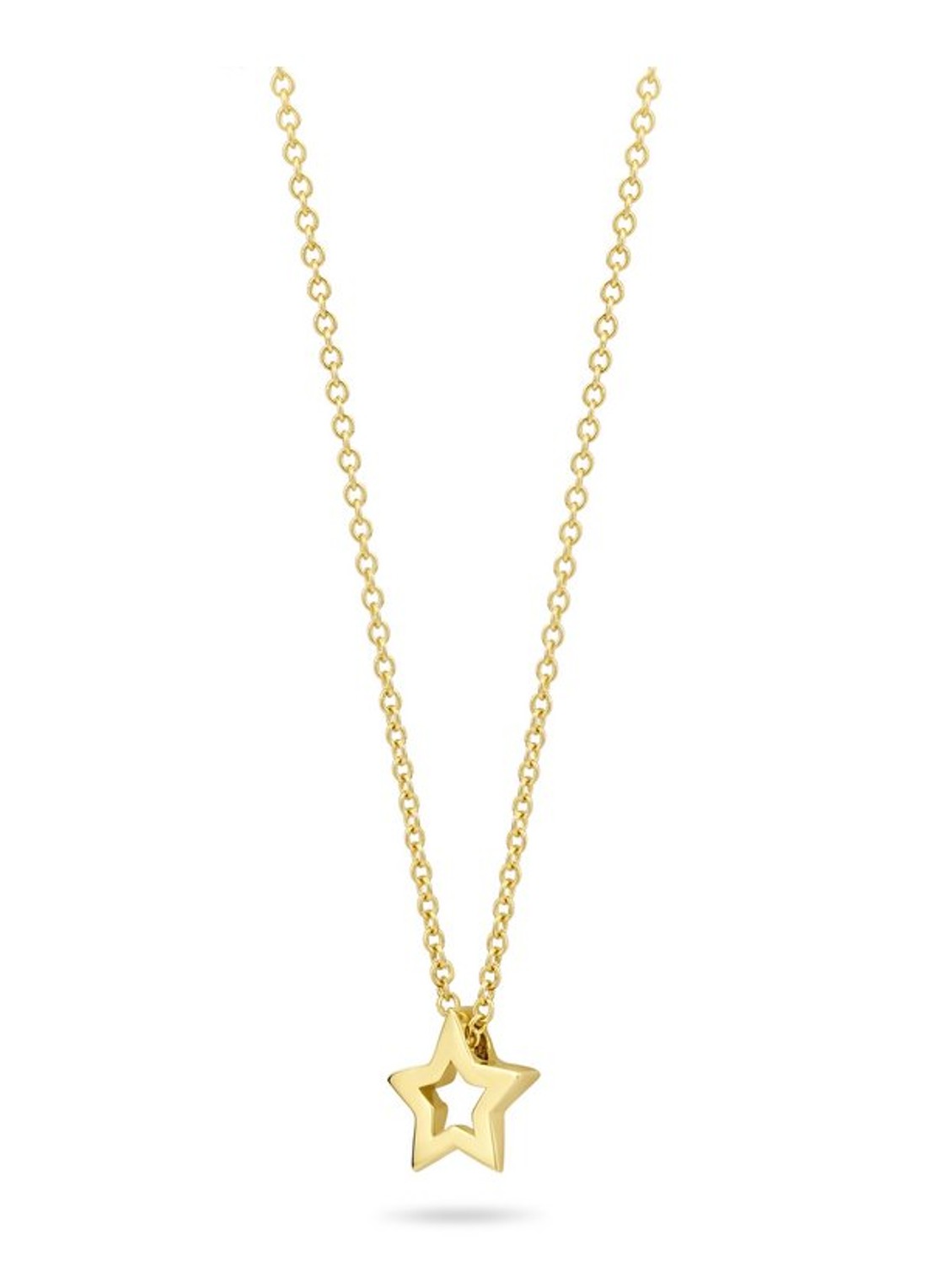 Blush Ketting van 14 karaat geelgoud 3151YGO - voorkant 2 geelgoud
