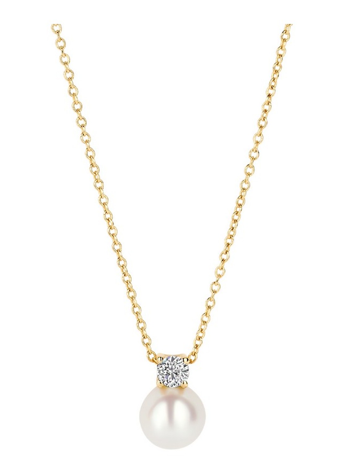 Blush Ketting van 14 karaat geelgoud 3163YPW - voorkant 2 goud