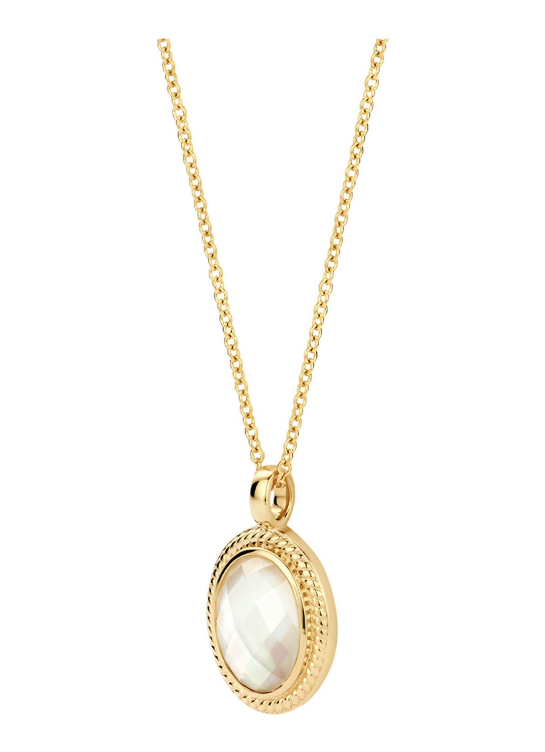 Blush Ketting van 14 karaat geelgoud 3169YMQ - detail goud