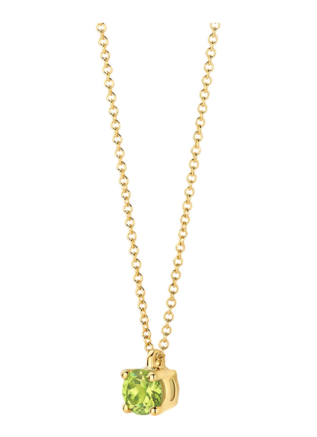 Blush Ketting van 14 karaat geelgoud 3200YGP  - detail geelgoud