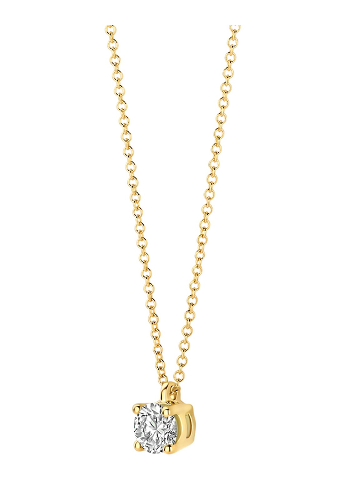 Blush Ketting van 14 karaat geelgoud 3200YLG  - detail geelgoud