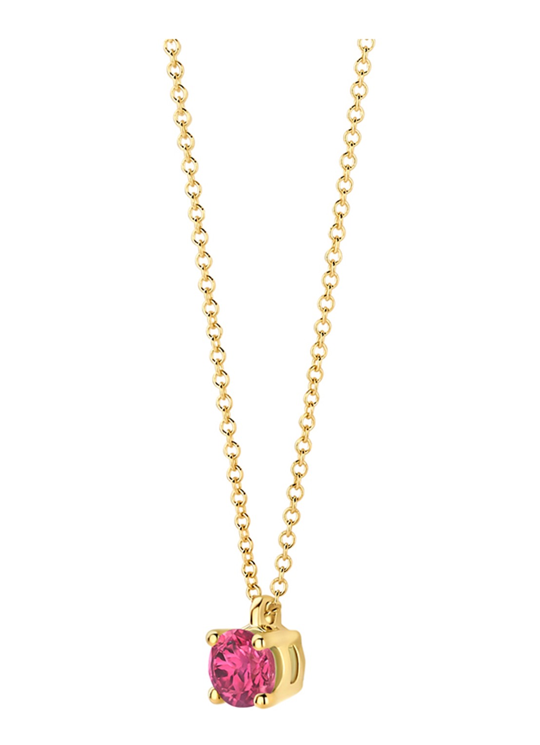Blush Ketting van 14 karaat geelgoud 3200YPT - detail geelgoud