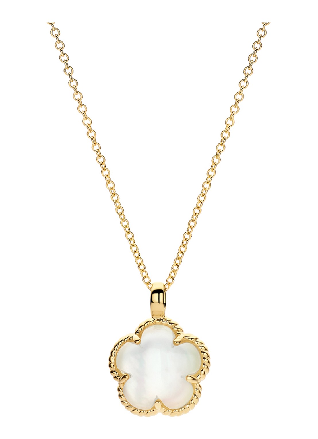 Blush Ketting van 14 karaat geelgoud 3209YMQ - voorkant undefined