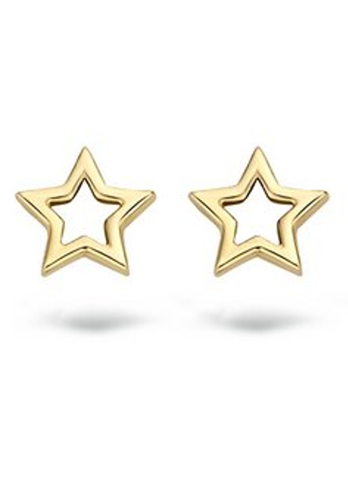 Blush Oorknopjes van 14 karaat geelgoud 7348YGO - voorkant 4 geelgoud