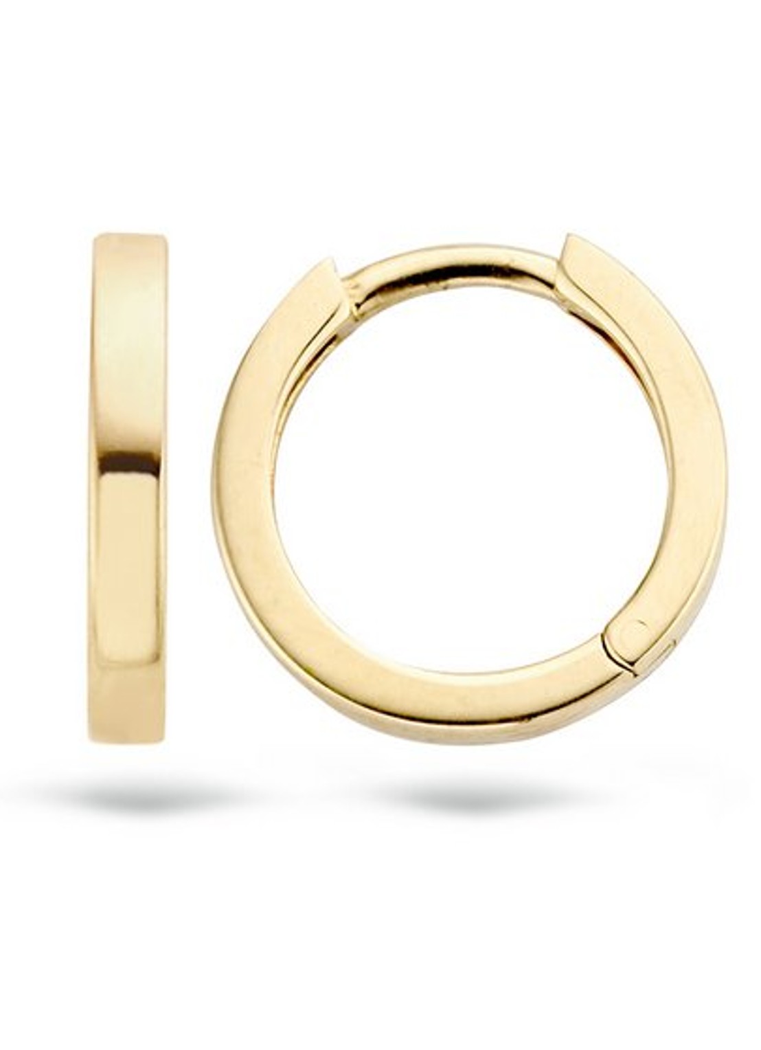 Blush Oorringen van 14 karaat geelgoud 7202YGO - detail 4 goud