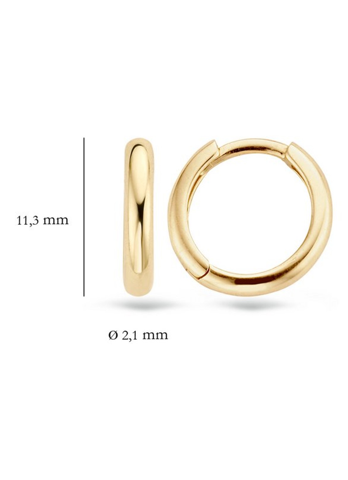 Blush Oorringen van 14 karaat geelgoud 7203YGO  - detail 3 goud