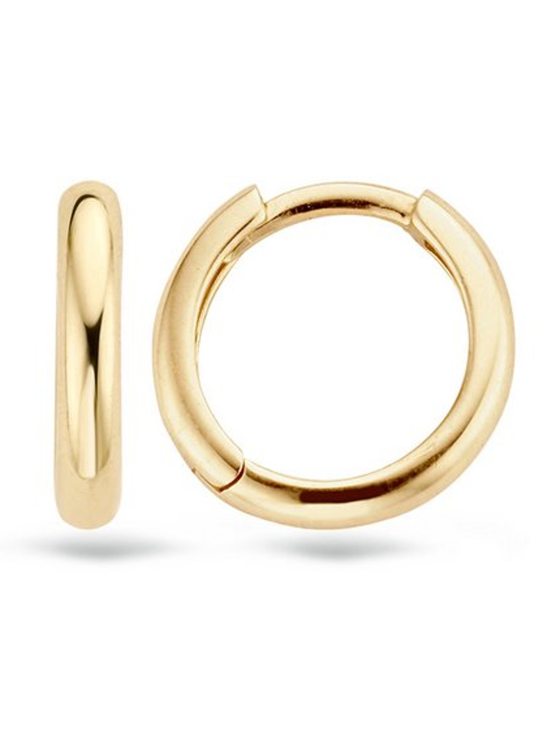 Blush Oorringen van 14 karaat geelgoud 7203YGO  - detail 4 goud