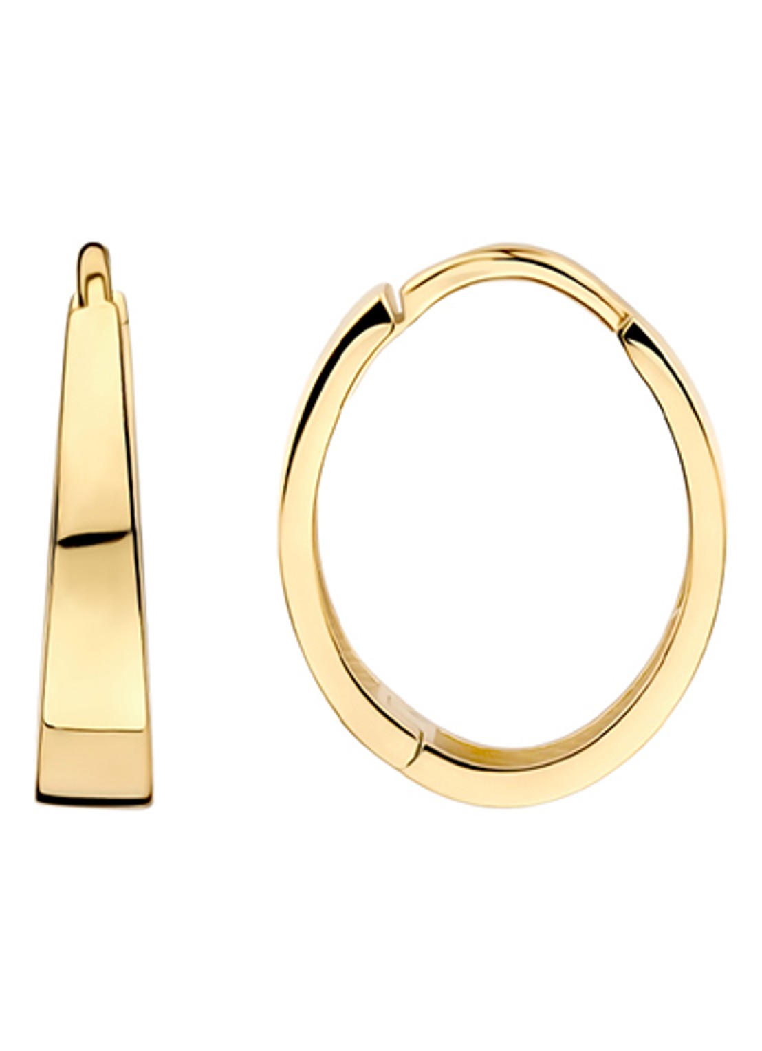 Blush Oorringen van 14 karaat geelgoud 7379YGO - detail 2 goud