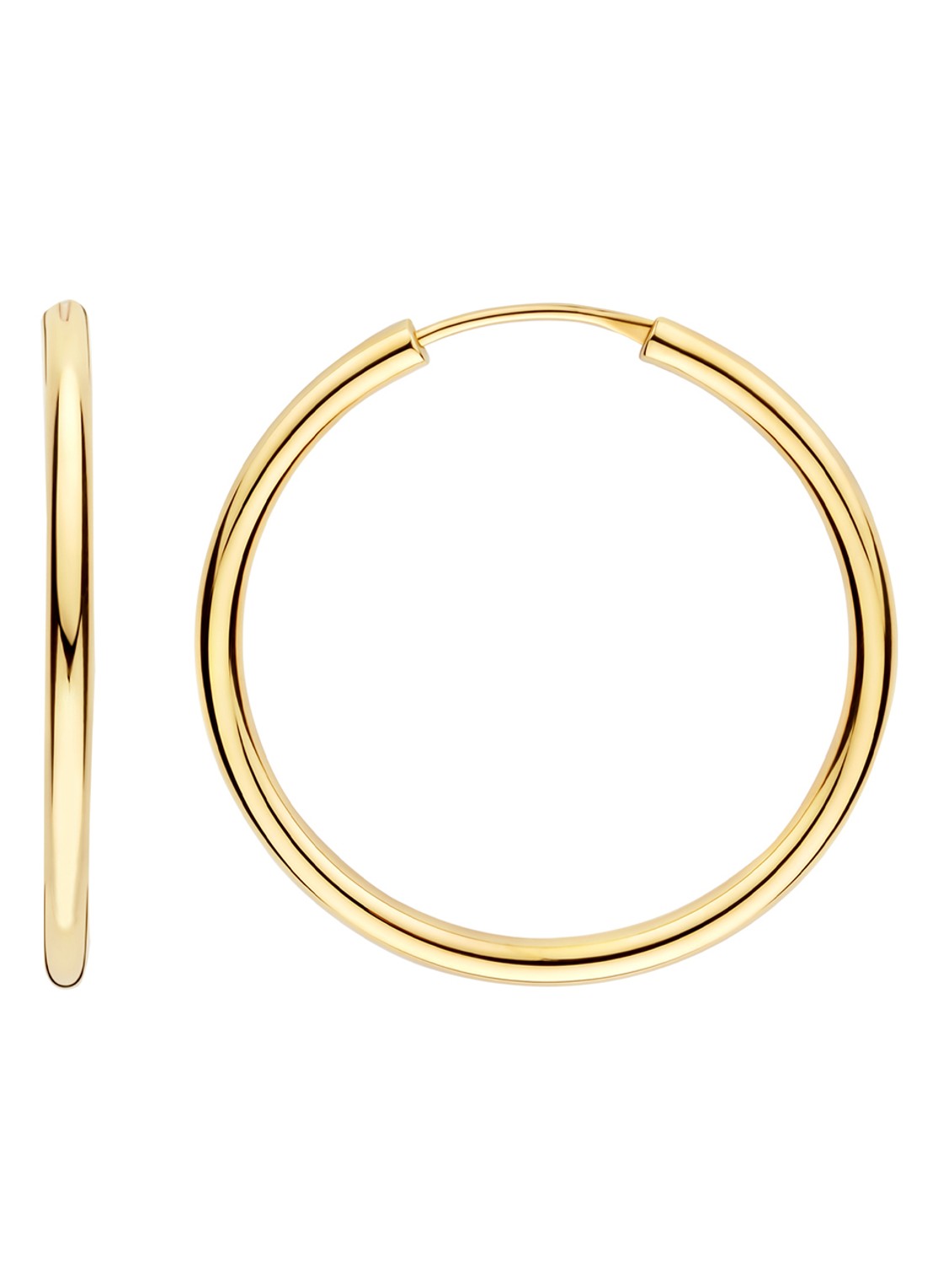 Blush Oorringen van 14 karaat geelgoud 7409YGO - detail undefined