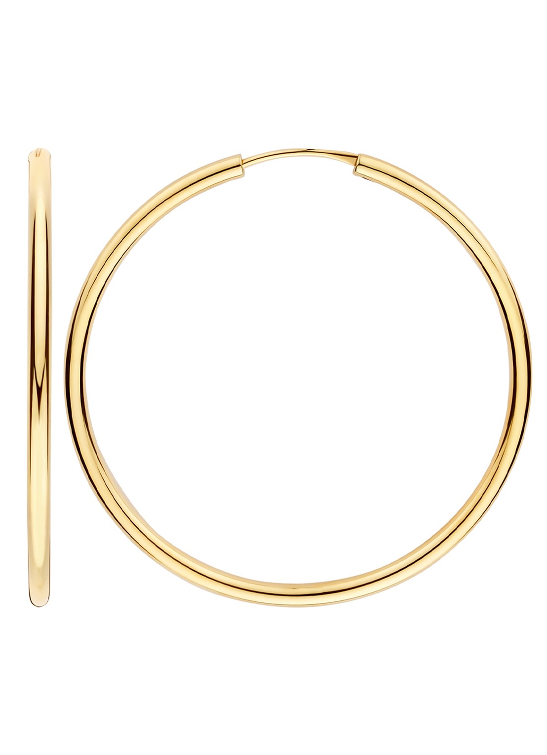 Blush Oorringen van 14 karaat geelgoud 7410YGO  - detail undefined