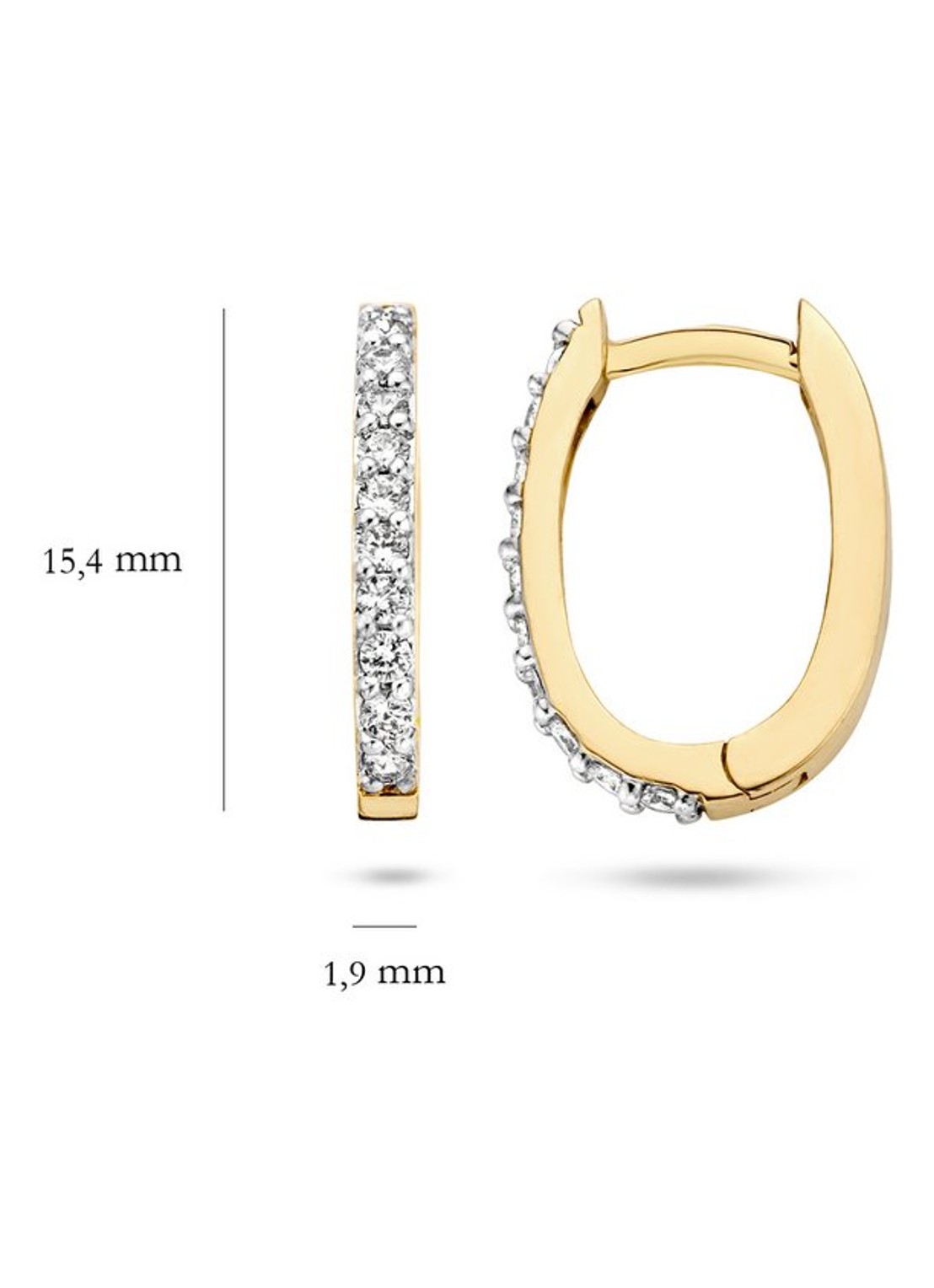 Blush Oorringen van 14k geelgoud 7236YZI  - detail 4 goud
