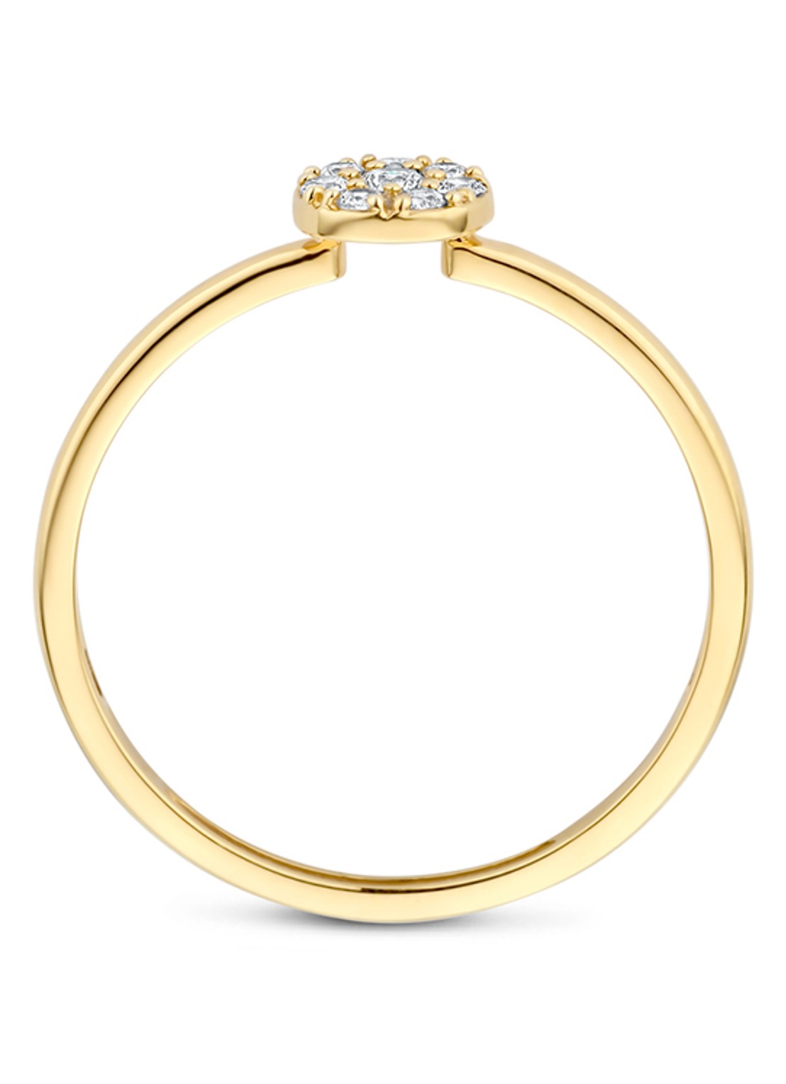 Blush Ring van 14 karaat geelgoud  1277YZI - detail 2 goud