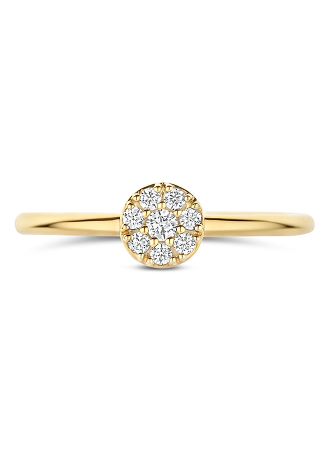 Blush Ring van 14 karaat geelgoud  1277YZI - voorkant 4 goud